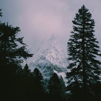 Макс Прачев