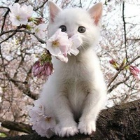 Алёна Олеговна