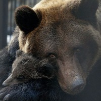 Дмитрий Ветров