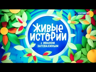 Живые истории / 03.06.2017