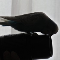 Катерина Скорондаева