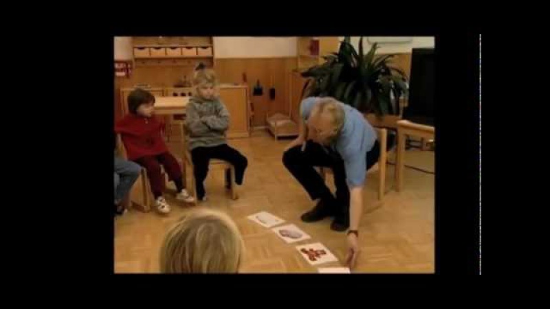 Total Physical Response (TPR)