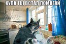 Объявление от Дмитрий - фото №1