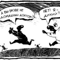 Тамерлан Каллаев