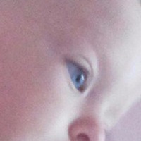 Сергей Рогин