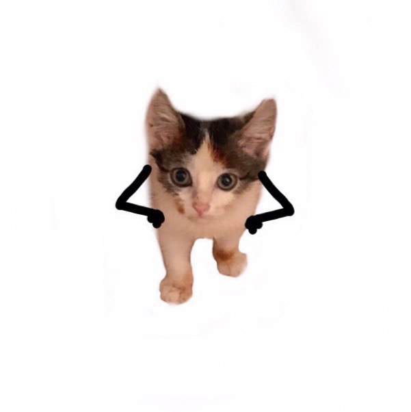 Будапешт, 30.01-07.02 (ищу попутчиков/попутчиц/компанию)