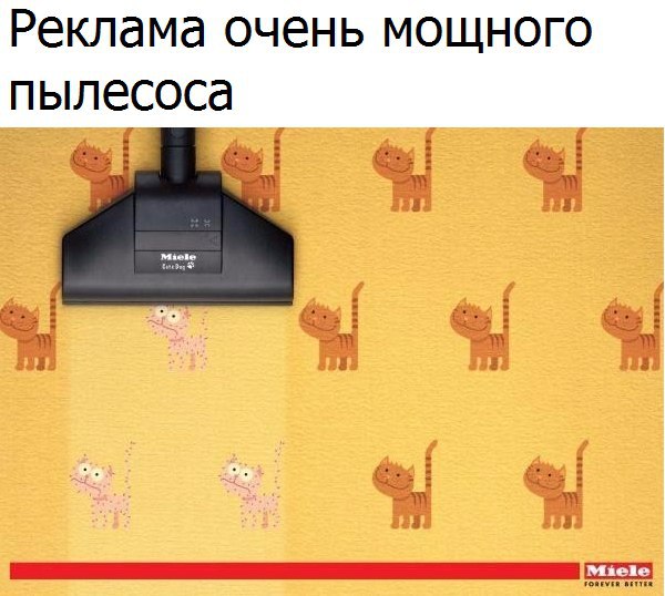 A4muZ3JryLM.jpg