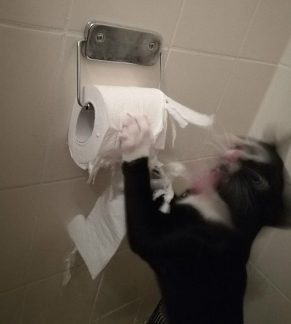 QtXZGxaZD4E.jpg