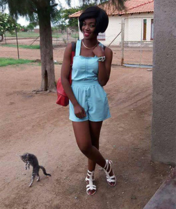 Кошки в нашей жизни. Кошки и все, что с ними связано.