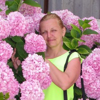 Елена Гаврилова