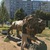 Фото пользователя Витя