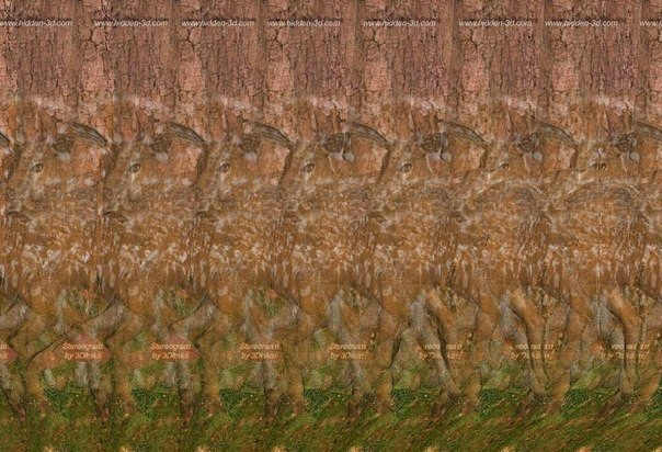 https://pp.userapi.com/c638516/v638516306/2b167/O-iOpUbM9v4.jpg