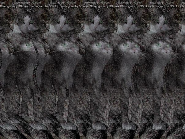 https://pp.userapi.com/c638516/v638516306/2b191/5rRvgeG4GwQ.jpg