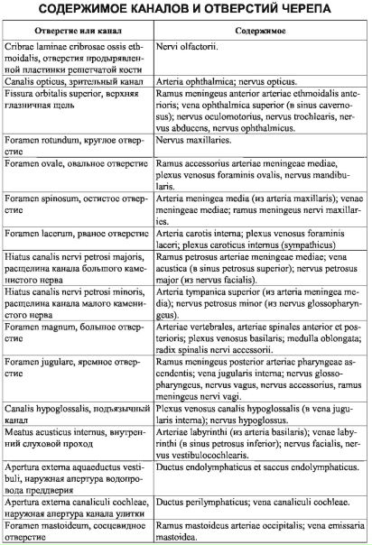 Содержимое каналов и отверстий черепа.
