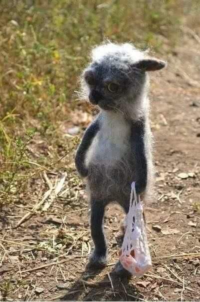 Кошки в нашей жизни. Кошки и все, что с ними связано.