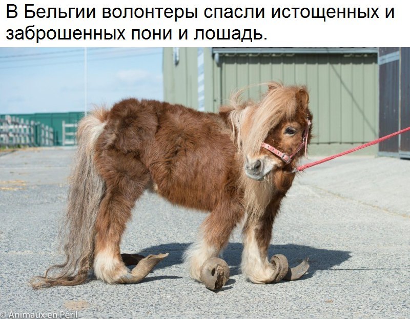 https://pp.userapi.com/c638517/v638517306/3b4b2/4Rc_IRAxRj4.jpg