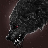 Дима Толстов | Коломна