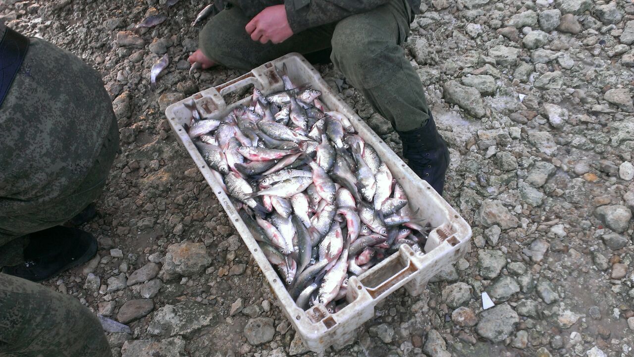 Под Таганрогом рядом с Красным Десантом задержали браконьеров с 1 тыс. особей тарани