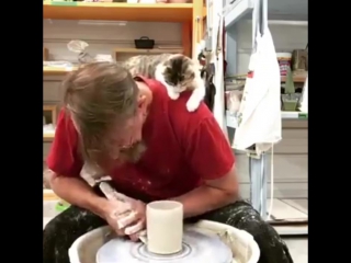 Когда вы с котом не разлей вода