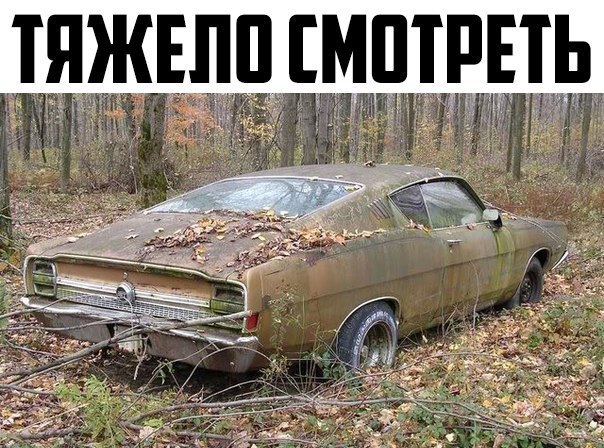Эх, отдали бы мне...