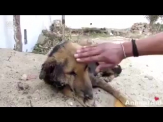 Спасение пришло в последний момент