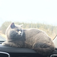 Таня Иванова