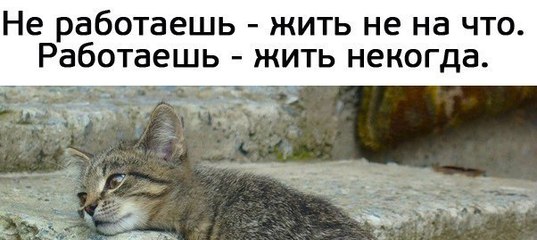 Картинки, картинки работаешь жить некогда не