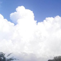 Сергей Хализов | Кропивницкий / Кировоград