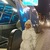 Фото пользователя Светлана