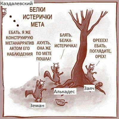 Белки истерички
