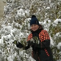 Любители Орального Секса В Ханты Мансийске