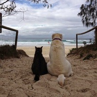 Артём Баранов