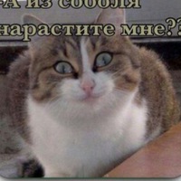 Ирина Прошина | 