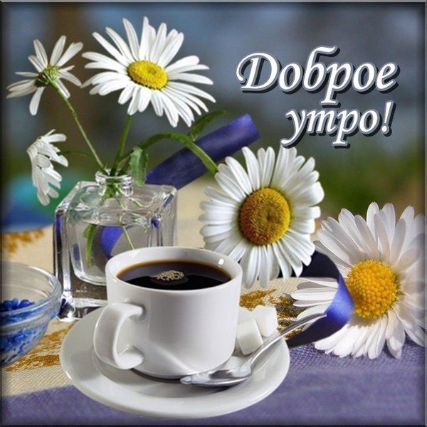 https://pp.userapi.com/c638527/v638527179/52c71/P_Bhg8Z_42o.jpg