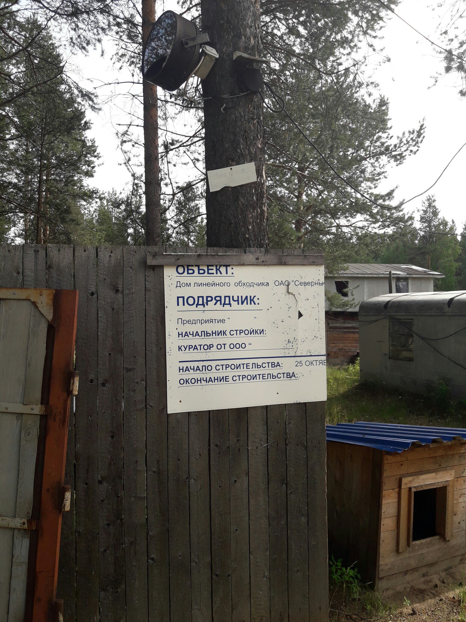 PbpMzJvvE8s.jpg (1548×2064)