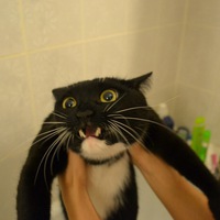 Евгений Кочергин