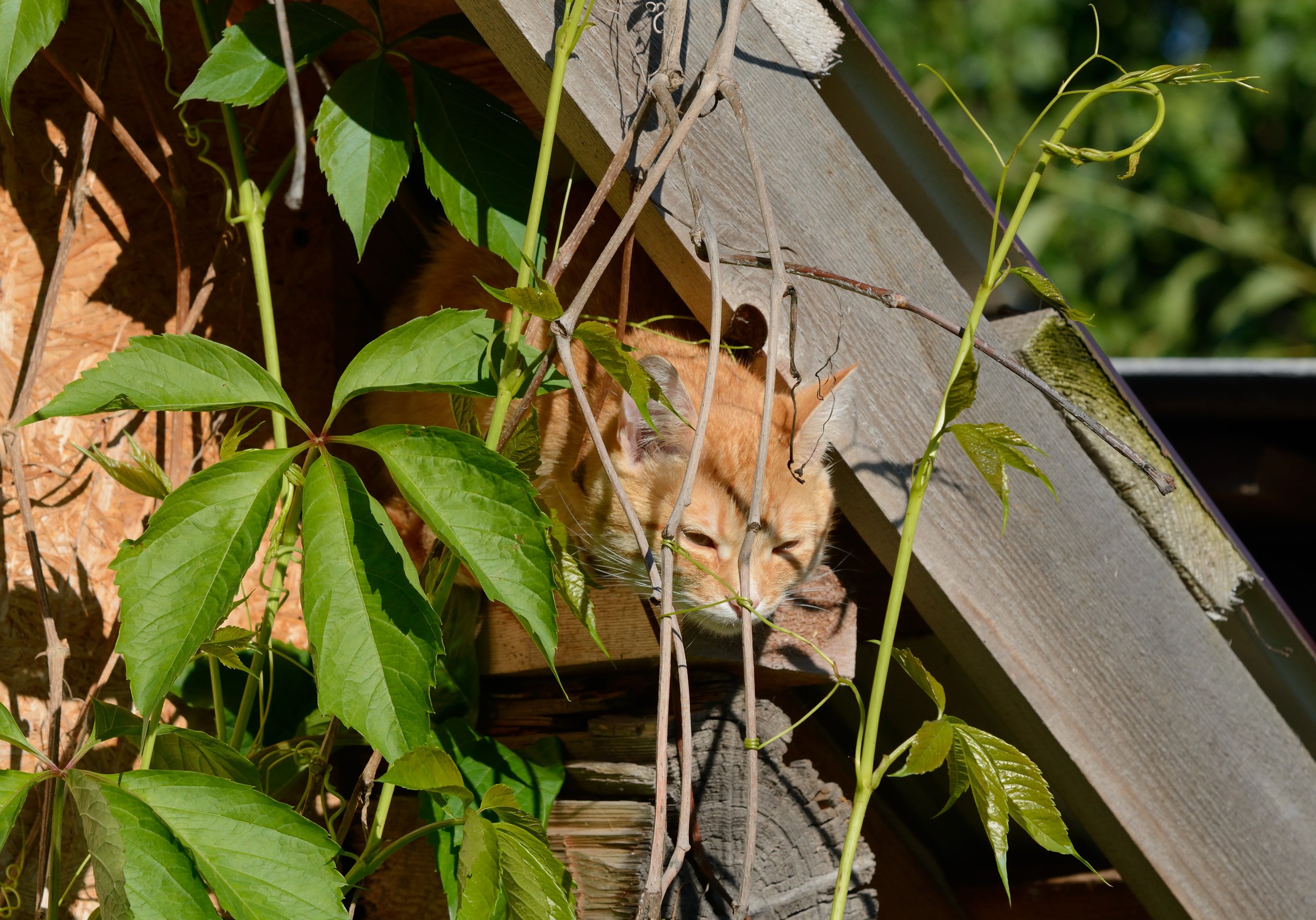 фотография из вКонтакте