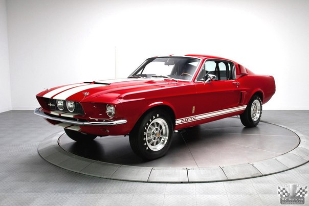 • Shelby Mustang GT350 289 Fastback 