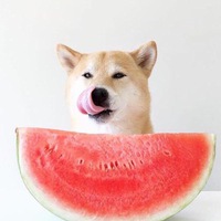 Ебливый Сосед