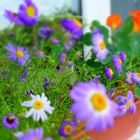 Татьяна Афонина