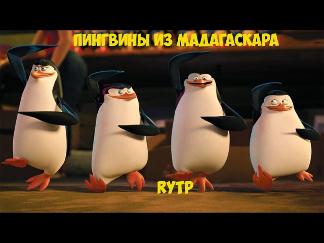 ПИНГВИНЫ ИЗ МАДАГАСКАРА |RYTP|ПУП