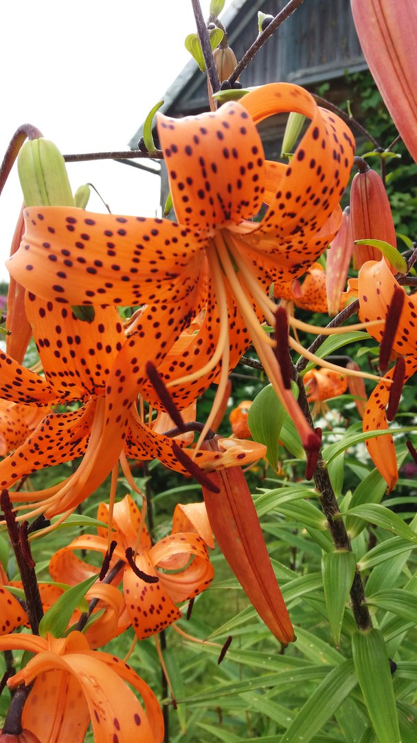 фотография из вКонтакта