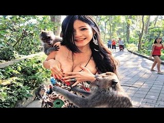 13 People Who Got Into Animal Enclosures at Zoos!