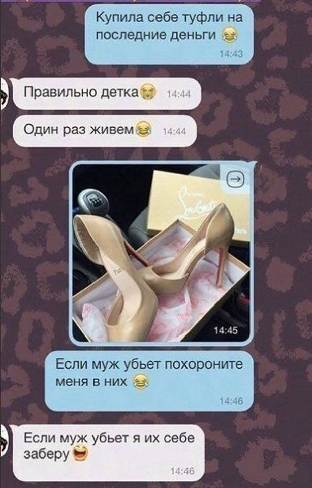 8FD2t7Yq77k.jpg