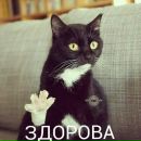Объявление от Таня - фото №1