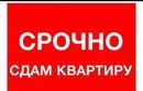 Объявление от Алёна - фото №1
