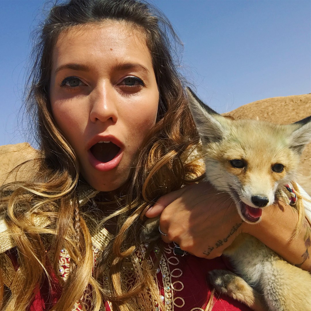 тодоренко 2023. аватар лиса тодоренко.