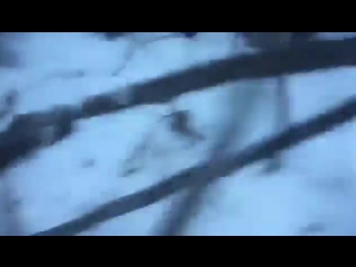 Житель Якутии спас кабаргу