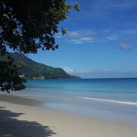 Люда Полякова