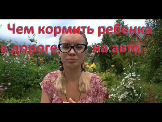 Чем и как кормить ребенка 0-3 года в дороге на машине. Путешествия с детьми на авто